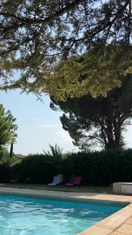 A video shows a sun-drenched outdoor scene with a swimming pool in the foreground and a large tree with lush green foliage in the background. The sunbeams filter through the tree's branches, creating a dappled effect. Several colorful lounge chairs are visible on the grass near the pool. The sky is a clear blue.