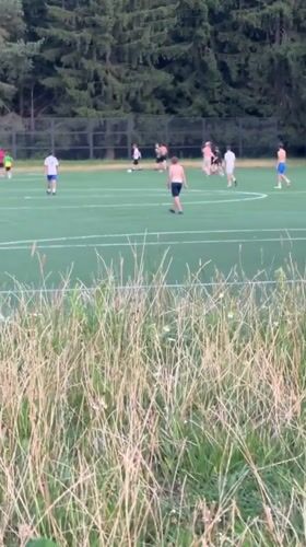 Soccer, a spaniel, and street life in a Minsk neighborhood