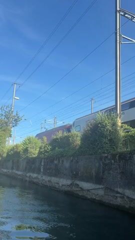 A train moves along a railway track bordered by a concrete wall and lush green bushes. The train, a passenger train with multiple carriages, is mostly white with red accents. Power lines stretch across the clear blue sky above the train and track. The track is elevated above a body of water, possibly a canal, which occupies the lower portion of the frame. The water's surface shows ripples and reflections. On the concrete wall, a vertical measuring stick with markings is visible, indicating the water level. The scene is illuminated by bright sunlight.