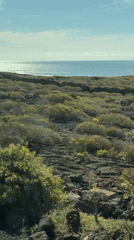 Coastal volcanic landscape documented in Haría, Spain