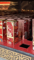 Moscow witness captures cosmetics displays and airport architecture