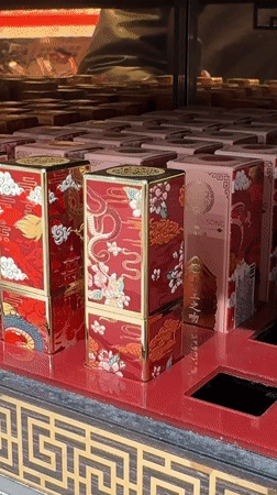 Moscow witness captures cosmetics displays and airport architecture