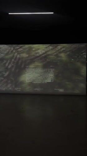 Cultural facility activities documented in Mexico City evening
