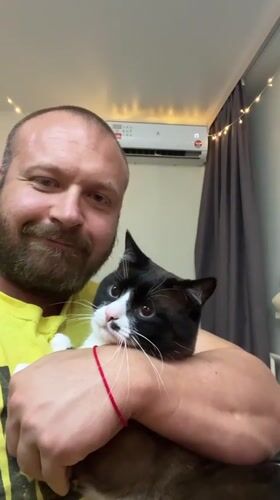 Chill moment with a black and white cat in Noviy, Russia
