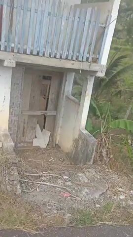 The video shows a first-person perspective of someone riding a motorcycle. The rider passes by a dilapidated building with exposed bricks and debris. The scene then transitions to a paved road surrounded by lush vegetation, including palm trees and tall grasses. The rider continues along the road, with the camera occasionally showing parts of the motorcycle. The overall impression is a journey through a rural or semi-rural area.