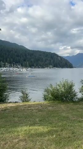 The video shows a view of a lake with a shoreline lined with trees and a marina. Several sailboats are docked in the marina. In the water, a rowing shell with multiple people rowing is moving across the frame. In the distance, there are mountains covered in trees. The sky is cloudy. In the foreground, there is a grassy area with some bushes.