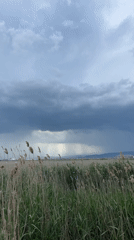 Storm clouds gather over reed fields near Kaspiysk, Russia