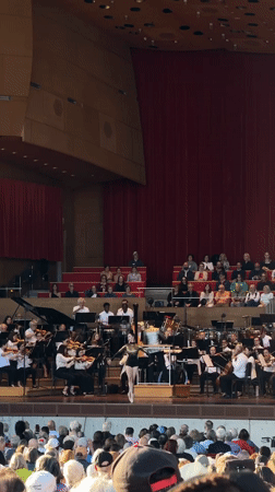 Live orchestral performance with stage artists at Millennium Park