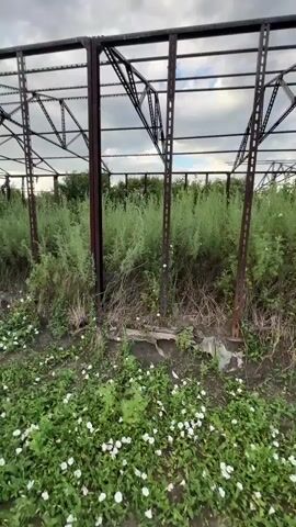 The video pans across an overgrown, abandoned metal structure. The structure appears to be a series of interconnected steel beams forming a skeletal frame, possibly for a greenhouse or a similar building. The metal is rusted and weathered. Lush green vegetation, including tall weeds and small white flowers, is growing profusely both inside and outside the frame, obscuring much of the ground and the lower portions of the structure. The sky above is cloudy with patches of blue, suggesting daylight. The overall impression is one of decay and nature reclaiming a man-made structure. No people or animals are visible.