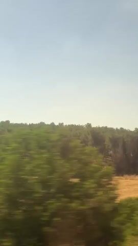 This media file captures a time-lapse view from a moving vehicle, likely a train, as it travels through a rural landscape. The dominant subjects are the lush green trees and vegetation that blur past the frame due to the motion. A patch of dry, golden fields is also visible, suggesting a warm climate or a dry season. In the background, a clear blue sky indicates fair weather.

The activity taking place is the transit through the scenery. The motion blur emphasizes speed and the passing of time. The time of day appears to be daytime, given the bright sky and the way light filters through the trees. The location cues, specifically the presence of cypress trees among other foliage, and the dry, earthy tones of the fields, are consistent with the Yoav Regional Council in Israel.

There are no people or distinct objects clearly visible, only the impression of a moving vehicle. The overall mood evoked is one of movement, nature, and perhaps a sense of journeying or exploration. The scene is serene, with the natural elements creating a dynamic visual experience due to the motion. No visible text is present in the media file.