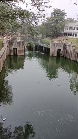 A video shows a view of a canal with a waterfall. The canal has concrete walls on both sides. On the left side of the canal, there is a concrete structure with an opening that looks like a door. On the right side of the canal, there is a similar structure. In the middle of the canal, there is a waterfall created by a series of concrete barriers. The water in the canal is murky green, and there are some floating debris. Trees and buildings can be seen in the background. The sky is overcast.