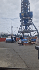 Cargo operations at Vladivostok port, with flowers nearby