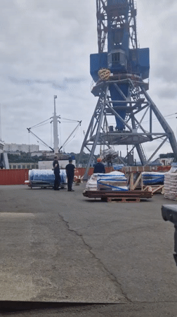Cargo operations at Vladivostok port, with flowers nearby