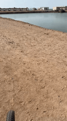 Dog walker documents morning stroll through coastal resort area