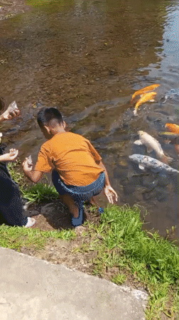 Morning tour of an Indonesian wildlife sanctuary full of exotic birds