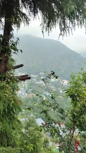 Morning documentation of temples and hiking scenes in Dharamkot-Haini region