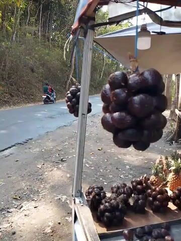 A roadside fruit stand is shown. The stand has a tarp for shade and displays various fruits. Large clusters of dark, spiky fruits hang from the stand. Piles of similar fruits and pineapples are arranged on a table. In the background, a road is visible with a truck and a motorcycle. The environment appears to be a rural or semi-rural area with trees and vegetation.