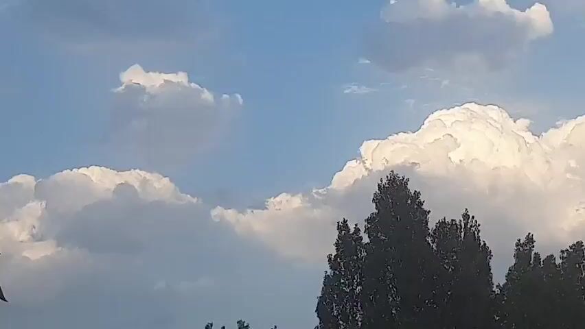 This media file depicts a natural scene, focusing on the sky and a line of trees. The sky is a vibrant blue, interspersed with large, billowing white clouds. These clouds appear to be cumulonimbus, suggesting the possibility of a storm or at least significant atmospheric activity. The lighting suggests it is daytime, likely late afternoon or early evening, given the soft, warm light illuminating the clouds.

The lower portion of the frame is filled with the dark silhouettes of a dense line of trees, possibly poplar or similar tall, slender varieties. Their tops reach up towards the sky, creating a stark contrast with the bright clouds and blue sky above.

There are no people or man-made objects visible in the frame. The focus is entirely on the natural elements of the sky and trees. The activity taking place is the natural movement and formation of clouds against the backdrop of a clear blue sky. The overall impression is one of natural beauty and the dynamic state of the atmosphere. No text is visible in the media file. The location context provided is Fergana City, Uzbekistan.