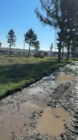 The video shows a rural landscape on a sunny day. The camera moves along a muddy dirt path towards a long, low building in the background. The building appears to be a barn or agricultural structure. There are trees scattered around the area, and a few cows are visible grazing in the field. The path is rutted with tire tracks. The sky is clear and blue.