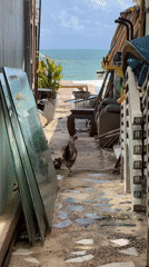 Beach morning captured: chairs, umbrellas, laptop user, hen with chicks