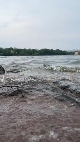 The video shows a close-up, low-angle shot of gentle waves lapping at a rocky shore. The water is clear with small whitecaps and foam. A thin, dark twig lies partially submerged in the water on the left side of the frame. Beyond the immediate foreground, the water stretches out to a distant tree line under a cloudy sky. Buildings are visible in the far distance, peeking above the trees on the right side of the horizon. The overall scene depicts a serene natural environment.