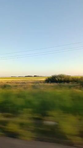 The video shows a view from a moving vehicle. The sky is clear and blue. Below the sky, there are several power lines stretching horizontally across the frame. In the middle ground, there is a field with green and yellow vegetation, which appears blurred due to the motion of the vehicle. In the background, there is a distant horizon line, beyond which more fields and trees are visible. The foreground shows a blurred strip of brown, likely the road or ground. There are no people or distinct objects visible in the video other than the natural landscape and man-made power lines. The overall impression is of traveling through a rural or agricultural area.
