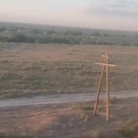 This is a short, blurry video clip, likely captured from a moving vehicle, showing a vast, open landscape. In the foreground, a wooden utility pole with a crossbar stands to the left. The ground is dry, with sparse, tan-colored vegetation and a dirt road winding through it. In the middle ground, a line of green trees stretches across the horizon, appearing somewhat hazy. The sky is a pale blue with a few scattered white clouds, suggesting it may be early morning or late afternoon. The overall impression is one of a rural, possibly arid, environment. There are no people visible in the video.