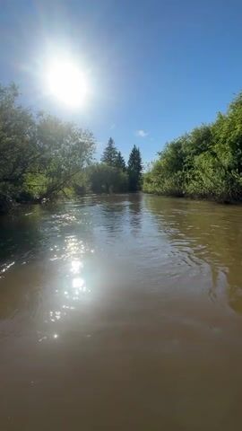 The video captures a first-person perspective from a low-lying position on a body of water, likely a boat. The foreground shows the bow of a dark-colored inflatable boat with a rope coiled on it. A calm, brownish river or stream stretches forward, with sunlight intensely reflecting off its surface, creating a bright glare in the upper left quadrant of the water. Both banks of the river are densely lined with green trees and foliage, some overhanging the water on the left side. In the distance, taller evergreen trees are visible beyond the immediate banks. The sky is clear and blue, with the sun brightly visible in the upper left corner of the frame. The camera exhibits slight, continuous movement, suggesting gentle motion on the water.