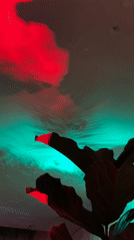 Indoor plant and lighting effects captured in Eivissa