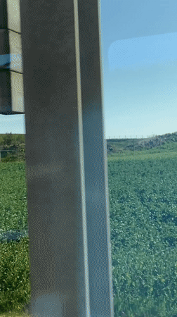 Construction work observed near roadway in Eschenbach, Switzerland