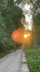 Sunset stroll captured along tree-lined park path in Izhevsk