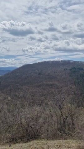 The video shows a landscape with a mountain range in the background and a small town in the valley below. The foreground is filled with trees that are mostly bare, indicating it may be early spring or late fall. The sky is partly cloudy. The camera pans across the scene, revealing more of the valley and the town.