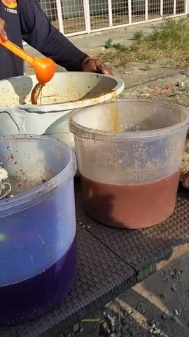 A person's hands are visible as they hold a large orange ladle, with the ladle dripping a reddish-brown liquid into a clear plastic tub filled with a similar liquid. To the left of this tub is another clear plastic tub containing a dark purple liquid. Behind these tubs, a light-colored plastic tub is being tilted, pouring a collection of light-colored objects, possibly food items like onions or garlic, into the tub with the purple liquid. The tubs are sitting on a dark-colored woven surface. The background shows a dirt and gravel area, with a fence-like structure in the distance.