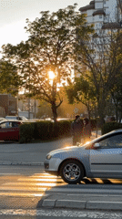 Golden sunlight filters through trees in Kragujevac street scene