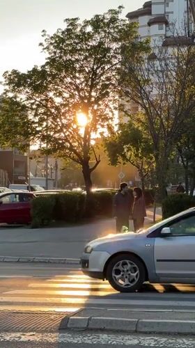 Golden sunlight filters through trees in Kragujevac street scene