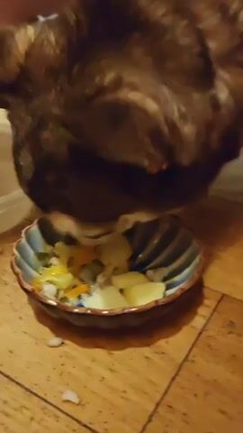A dog is eating from a bowl. The dog has brown fur with white markings around its face. The bowl is green and blue and sits on a wooden floor. The food in the bowl appears to be vegetables including pieces of potato, carrot and other unidentified ingredients. A white plastic container is slightly out of focus to the left of the bowl. The dog eats with its head lowered, fully immersed in the bowl.