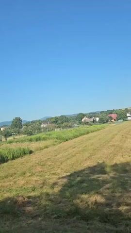 The video captures a moving view of a rural landscape under a clear blue sky. In the foreground, tall green grass and some dry hay are visible, with a wooden structure to the left and a railway crossing sign to the right. Further into the distance, there are more grassy fields, scattered trees, and a few houses nestled among the greenery. The perspective suggests the video is being filmed from a vehicle, possibly a car or train, moving along a road or track. The overall scene is peaceful and idyllic, depicting a typical countryside setting on a sunny day.