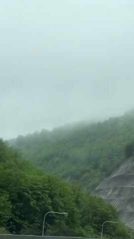 The video shows a view of a lush, green mountainside, partially obscured by fog, from what appears to be inside a moving vehicle. The sky is overcast and gray. A roadside barrier is visible in the lower foreground, and streetlights are partially visible on the lower left. The mountainside has some exposed rock protected by some reinforced concrete.