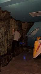 Man accesses restricted Montreal area near Prison Island mural