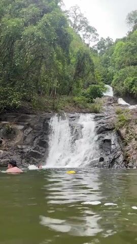 The video shows a waterfall in a lush green environment. The waterfall cascades over a series of dark, jagged rocks into a pool of water. The water is a greenish hue, and the surface is rippled. On the left side of the screen, a person is swimming in the water near the waterfall. The surrounding area is densely vegetated with trees and foliage, creating a natural, forested backdrop. The sky appears overcast.