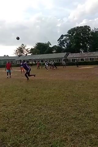 The video shows a group of people playing a game on a grassy field. In the background, there is a building with multiple windows and a green roof. Some trees are visible in the background as well. The sky is overcast. One person, wearing a purple jersey with the number 7, is facing the camera.  There is a person in a red shirt running. The people are spread out across the field. A ball is in the air.