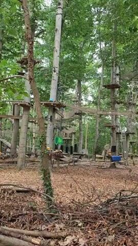The video shows an outdoor ropes course adventure park set amongst tall trees. There are multiple platforms at various heights connected by rope bridges, nets, and ladders. Some platforms have wooden planks and are supported by ropes and cables. There are also some blue and yellow objects on platforms. The ground is covered with fallen leaves and branches. The overall impression is a forested area adapted for recreational activities.