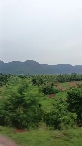 The video shows a landscape shot from a moving vehicle. In the foreground, there is lush green vegetation and trees, creating a sense of depth as the camera moves.  Beyond the immediate foreground, the landscape opens up to reveal an area with some exposed earth and a few scattered trees and buildings. In the background, there are mountains, covered in green vegetation. The sky is overcast, suggesting cloudy or possibly rainy weather conditions.  The camera is likely moving along a road or railway line.