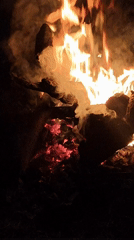 Rural scenes documented in Lạc Dương including bonfire and wildlife