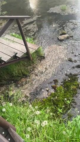 This is a video of a small, shallow stream flowing past a wooden footbridge. The water is murky and carries a light brown sediment, particularly concentrated where it flows under the bridge. The stream bed is a mix of small pebbles and larger stones, some of which are covered in bright green moss. On the bank, lush green grass grows, dotted with white dandelion seed heads and small pink wildflowers. The footbridge, made of weathered wooden planks and supported by dark wooden posts, is positioned on the left side of the frame, with its ramp leading down towards the water. The overall scene appears to be a natural, outdoor setting, likely in a rural or park area. The lighting suggests it could be daytime, possibly overcast. There is no visible text in the video. The location context provided is Savvateevka, Russia.