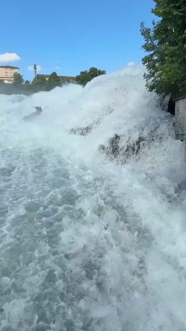The video captures a dynamic view of a powerful waterfall, likely the Rhine Falls in Dachsen, Switzerland. The foreground is dominated by turbulent, white water, creating a sense of raw energy and motion. The water is a vibrant greenish-blue, suggesting clarity despite its forceful churn.

In the mid-ground, the waterfall cascades over rocks, sending plumes of spray into the air. A small, dark figure, possibly a person on a boat or a raft, is visible being carried down with the current, adding a human element to the wild spectacle. This individual appears to be navigating or perhaps being swept through the intense water flow.

In the background, buildings line the shore, suggesting a developed area adjacent to the natural wonder. Some of these structures appear to be multi-story buildings, possibly residential or commercial. Green trees are also visible, framing the scene and providing a contrast to the white water. The sky is a clear blue with a few wispy white clouds, indicating fair weather. The lighting suggests it is daytime, likely mid-morning or afternoon, with bright sunlight illuminating the scene.

The overall emotion evoked is one of awe and excitement, emphasizing the power of nature and the adventurous spirit of those who engage with it. The video captures a moment of thrilling activity against a beautiful, natural backdrop. No visible text is present in the media file.