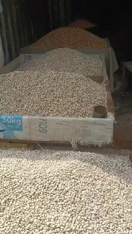 The video shows a market stall.  Wooden platforms hold mounds of dried white seeds or beans, and another has a pile of dried ginger.  Several wooden stools are in the stall. One person is partially visible in the back, wearing Adidas-striped pants. Children are also visible in the background.  The area appears to be somewhat shaded. A large bag with the text "50 kg" is visible among the beans.  The area looks busy.