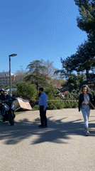 Tree cleanup operations underway in Bar, Montenegro coastal park