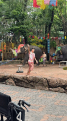 Decorated elephants perform for a crowd at Bangkok attraction