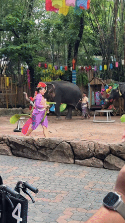 Decorated elephants perform for a crowd at Bangkok attraction